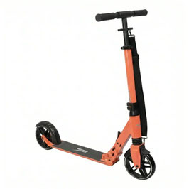 Rideoo 175 salmon