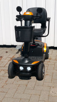 REISE-KOMPAKTMOBIL ECO NINNI - 6KM/H