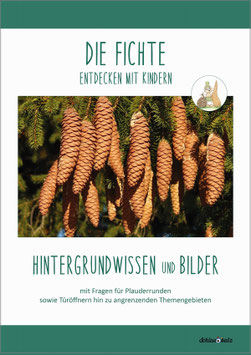 DIE FICHTE: Wissen & Bilder