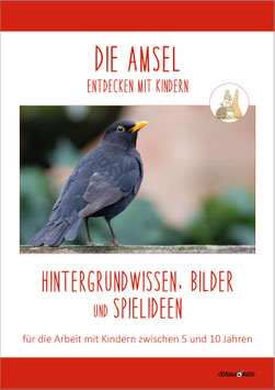 DIE AMSEL: Wissen, Bilder & Spiele (Kinder 5-10 Jahre)