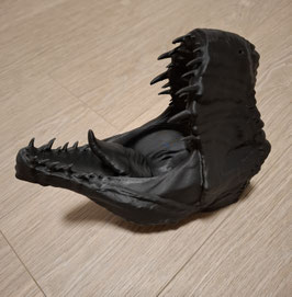 Wand-Deko T-Rex Kopf schwarz, seidenmatt