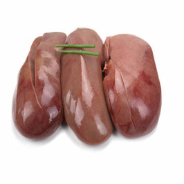 Pigs Kidney