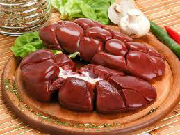 Kidney