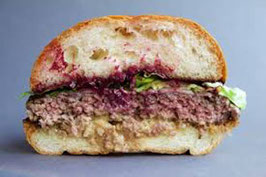Venison Burger