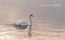 In stillem Gedenken 013