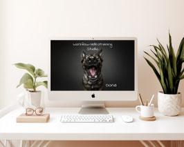 Workflow Video "Oona" Studio