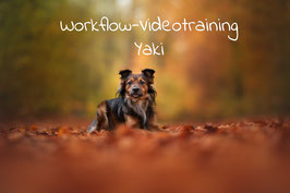 Workflow Video "Yaki"