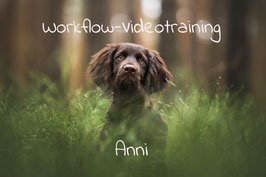 Workflow Video "Anni"