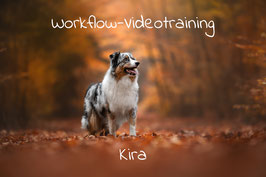 Workflow Video "Kira"