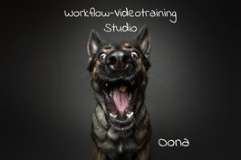 Workflow Video "Oona" Studio
