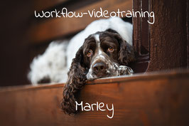 Workflow Video "Marley"