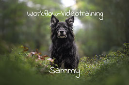 Workflow-Video "Sammy"