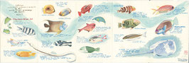 Catalogo dei pesci delle Seychelles. Volume 2