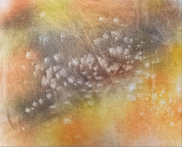 S3 étamine - 35.6x 44.6cm