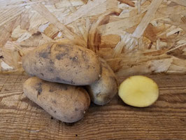Kartoffeln hartkochend