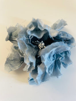 Blue pivoine ( bleu de lectoure ). SUR COMMANDE