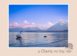 FK_e Charte vo hie 137