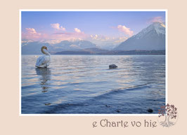 FK_e Charte vo hie 141
