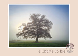 FK_e Charte vo hie 129