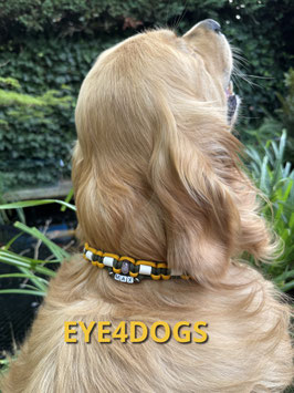 Combi-band Yentl (Anti-tekenband gecombineerd met edelsteen) nu tijdelijk met GRATIS naam van uw hond