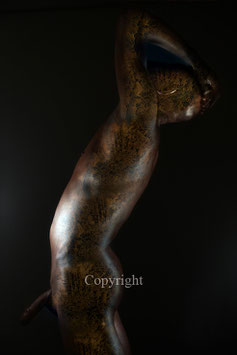 Old Copper Statue - werk 7