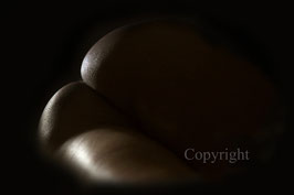 Body Man as Landscape werk 5