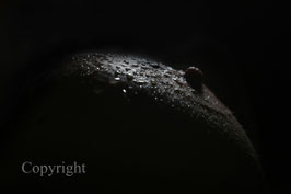 Wonderful Landscapes of Body werk 11