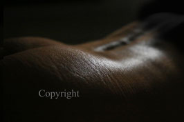 His Bodyscape werk 3