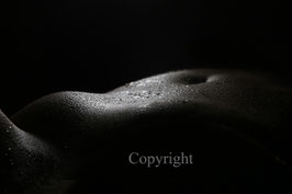 Wonderful Landscapes of Body werk 5