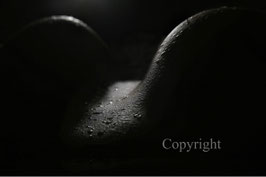 Wonderful Landcapes of Body werk 1