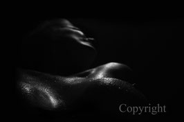 Wet Breasts werk 3