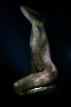 Old Copper Statue - werk 14