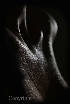 Wet upper Body werk 2