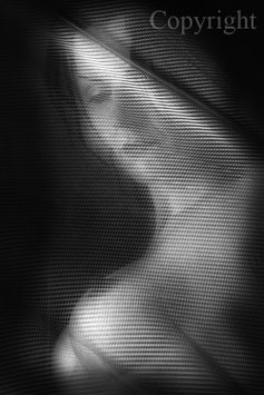 It´s My Life work 7