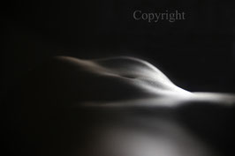 Body Man as Landscape werk 6