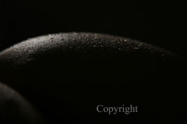 Waterscape work 1