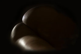 Bodyscape