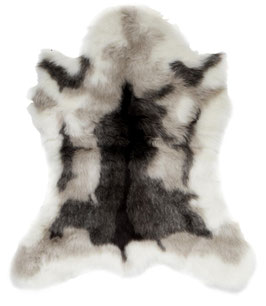 Reindeer Fell Grey