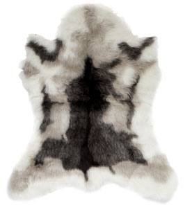 Reindeer Fell Grey