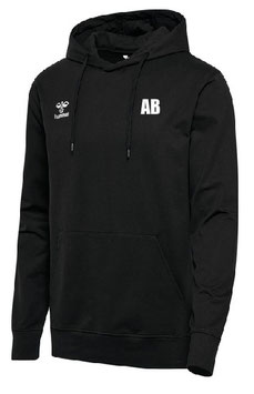 SG BADEN/BADEN SANDWEIER GO 2.0 COTTON HOODIE (224833-2001)