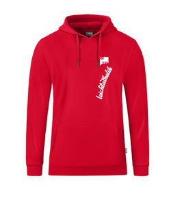 TV IFFEZHEIM LEICHTATHLETIK HOODIE (C6720-100)