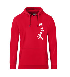 TV IFFEZHEIM SPORT HOODIE (C6720-100)