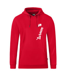 TV IFFEZHEIM TURNEN HOODIE (C6720-100)