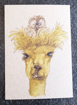 029 Alpaka mit Kauz