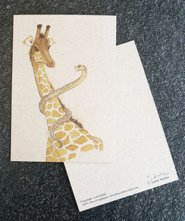 028 Giraffe mit Schlange