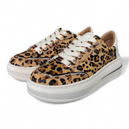 Lancaster - Sand off White