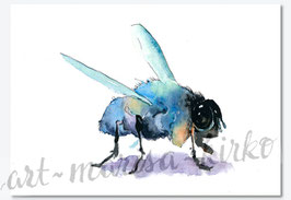 Fliege