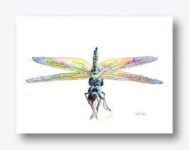 Libelle