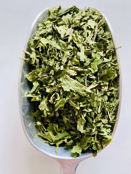 Brennnesseltee BIO geschnitten