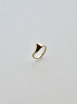 RAL RING K10